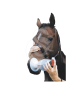 Aérosol Equine Haler pour inhalation