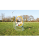 Agility : Anneau Dog Activity