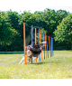 Agility : Slalom Trixie Fun