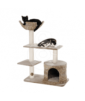 Arbre à chat Banana Leaf Jade