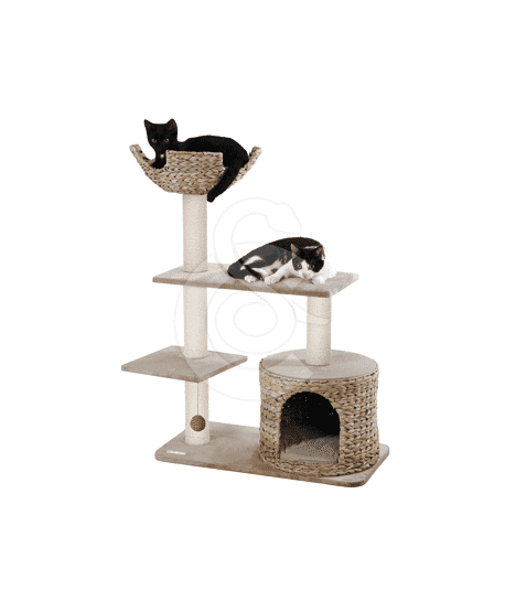 Arbre à chat Banana Leaf Jade