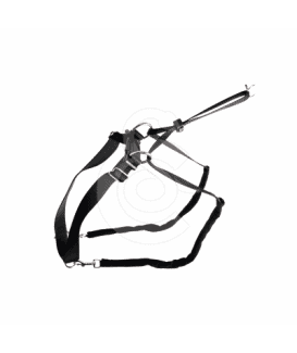 Collier éducation Maxi Leader