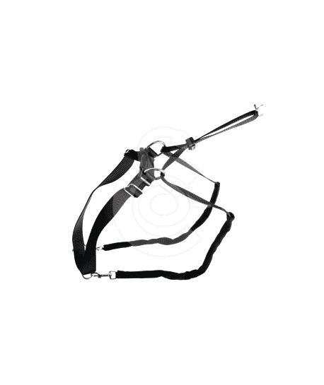 Collier éducation Maxi Leader