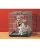 Cage métal Dog Résidence classique