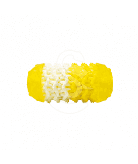 Jouet chien Pop : Dental Toy