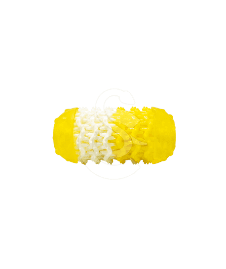 Jouet chien Pop : Dental Toy