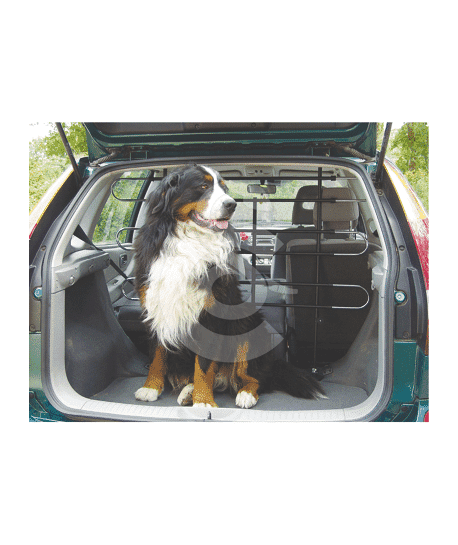 Grille pare-chien universelle pour voiture
