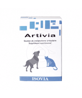Artivia