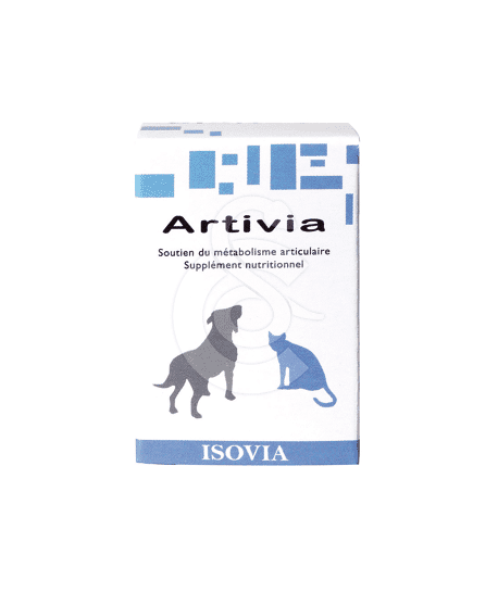 Artivia