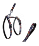 Ensemble harnais / laisse chat Art Sportiv