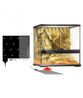 Plaque chauffante pour terrarium