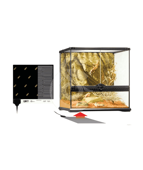 Plaque chauffante pour terrarium