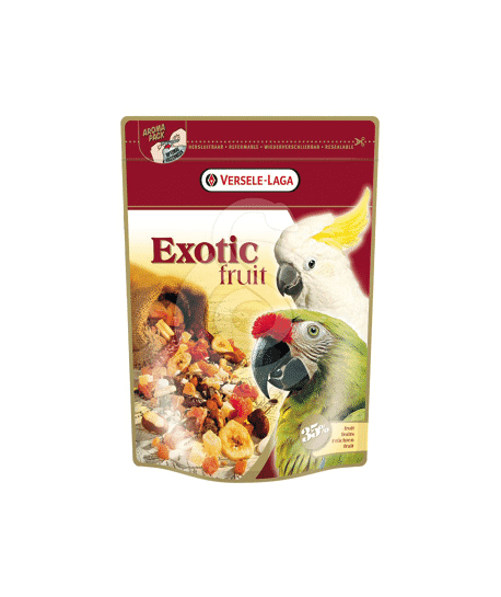Perroquets Exotic Fruits