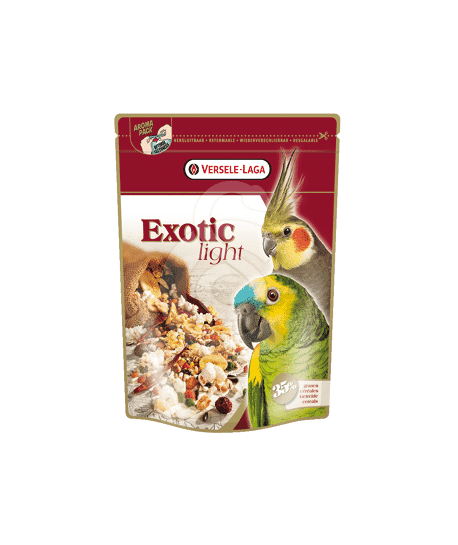 Perroquets Exotic Light