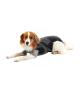 Gilet Body Suit Classic Buster pour chien