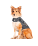 Gilet anti-anxiété ThunderShirt pour chien