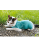 Gilet CatBody VetMedCare pour chat