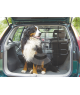 Grille pare-chien universelle pour voiture