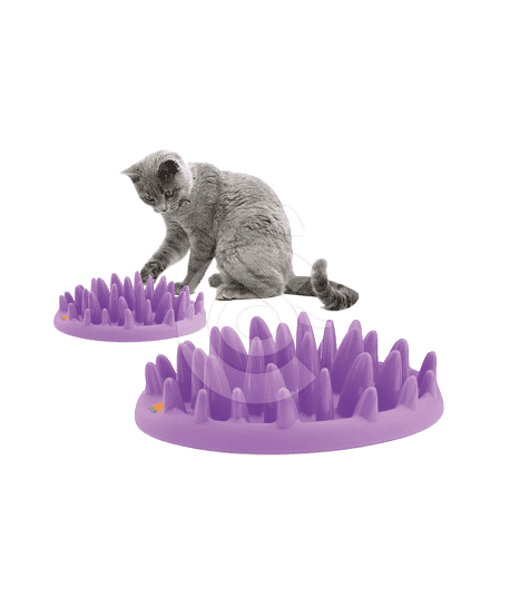 Gamelle Catch Interactive Cat Feeder pour chat