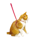Harnais Chat Pop