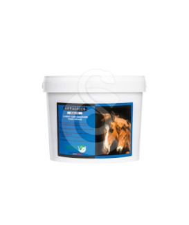 Hippiagreen Mobilité