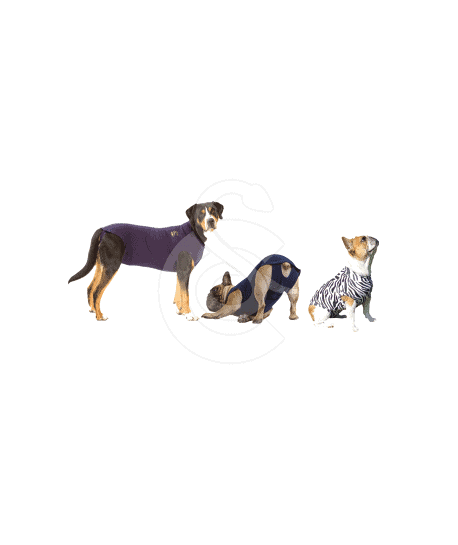 Gilet Pet Shirt pour chien