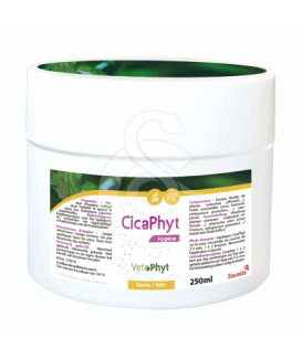 Cicaphyt Baume