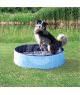 Piscine pour chien