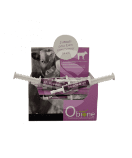 Seledine Vit Pâte Orale