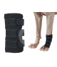Protection patte avant pour chien Back On Track