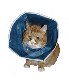 Carcan souple Buster Soft Collar UU