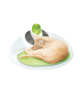 Station de relaxation Catit Senses 2.0 pour chat