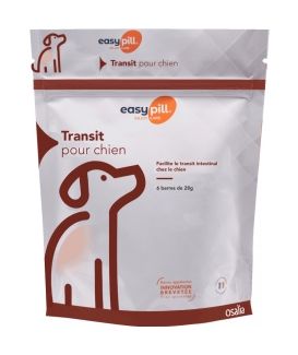 Easypill Chien Transit