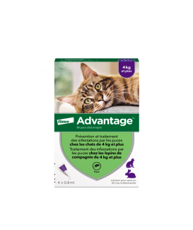 Advantage 80 Chat/Lapin