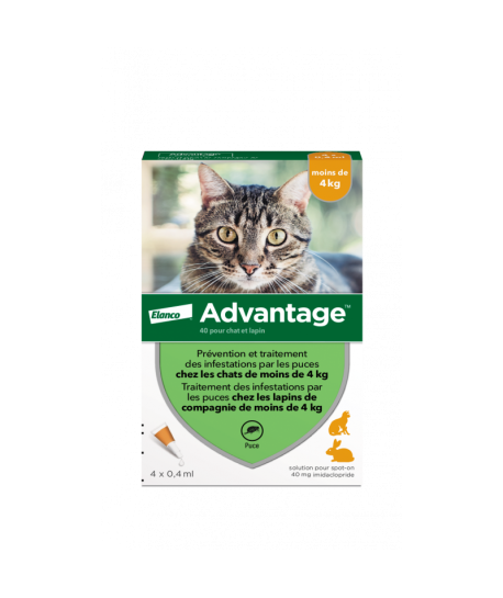 Advantage 40 Chat/Lapin