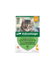 Advantage 40 Chat/Lapin