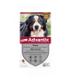 Advantix Tres Grand Chien 40-60 kg