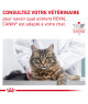 Cat Gastrointestinal Fibre Response Morceaux