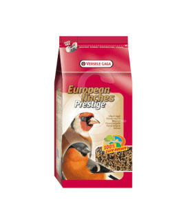 Prestige Oiseaux Indigenes