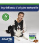Adaptil Chew