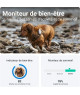 GPS Tractive Dog 4 pour chien