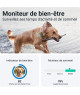 GPS Tractive Dog XL pour chien