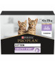 Pro Plan Cat Kitten Dinde Terrine Multipack