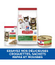 Chat Kitten and Mother Mousse Poulet & Dinde
