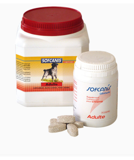 Sofcanis Adulte comprimés