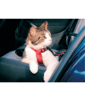 Harnais de sécurité voiture pour chat