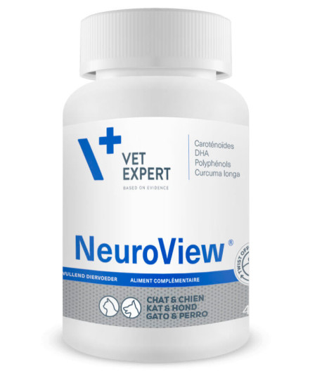 NeuroView
