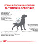 Dog Sensitivity Control