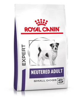 Neutered Adult Small Dog