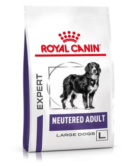 Neutered Adult Large Dog